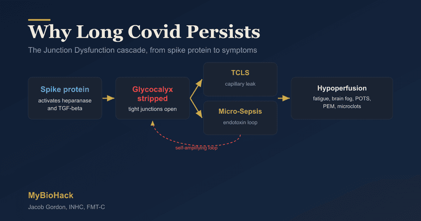7 Steps to Naturally Treat Long Covid (Science-Based Protocol)