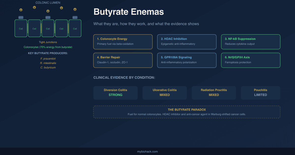 Butyrate Enemas: What They Are, How They Work, And What The Evidence Actually Shows
