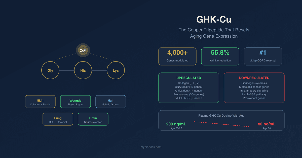 GHK-Cu: The Copper Tripeptide That Resets Aging Gene Expression