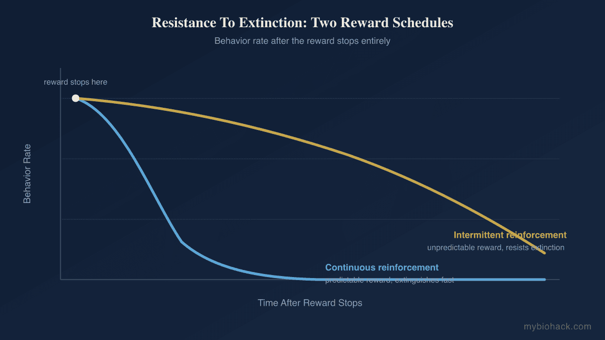 Intermittent Reinforcement And Codependency: The Slot Machine Wiring Behind Why You Can't Let Go