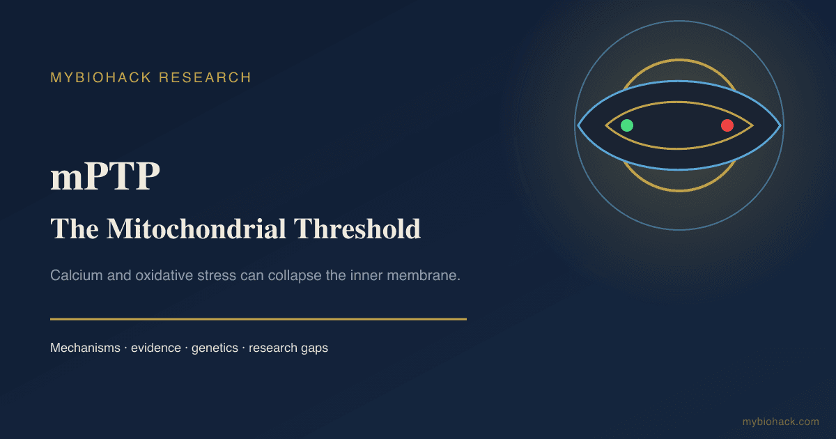 The Mitochondrial Permeability Transition Pore (mPTP)