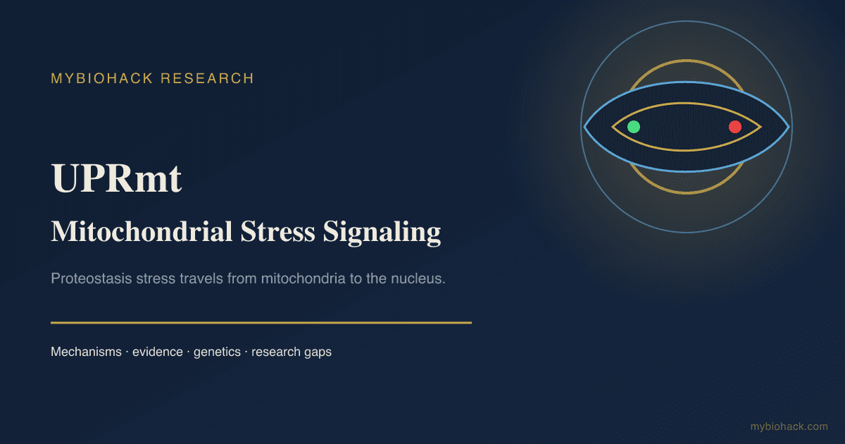 Mitochondrial Unfolded Protein Response (UPRmt): Proteostasis, Hormesis, And Chronic Stress