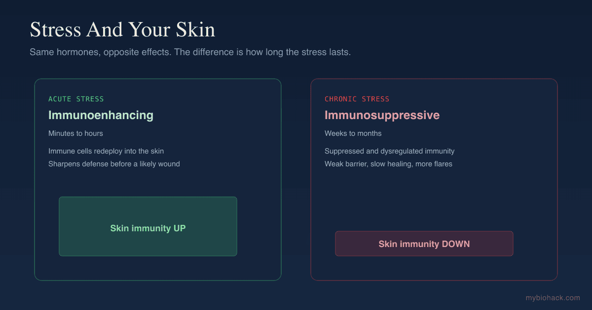 Stress And Your Skin: Why Acute Stress Protects And Chronic Stress Destroys