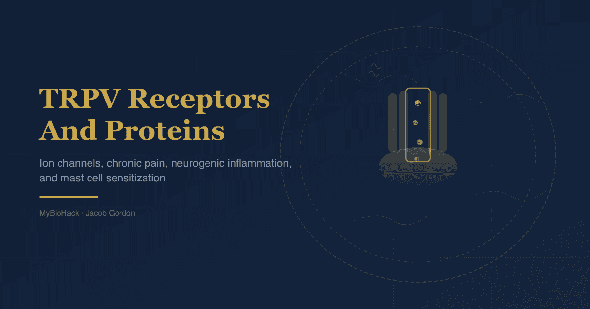 TRPV Receptors And Proteins: What They Are, What They Do, And Why They Matter For Chronic Illness