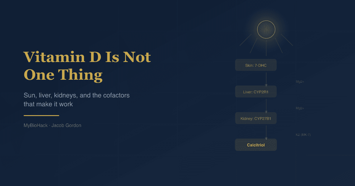 Vitamin D Is Not One Thing: Sun, Liver, Kidneys, And The Cofactors That Make It Work
