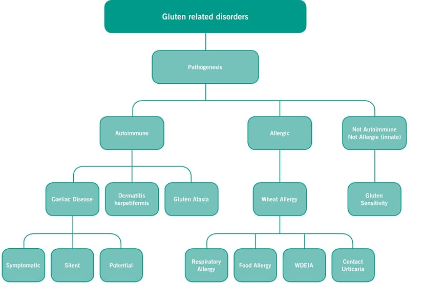 Gluten is NOT the Problem - it is ATIs