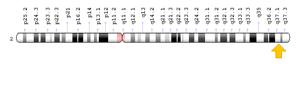 ATG16L1
