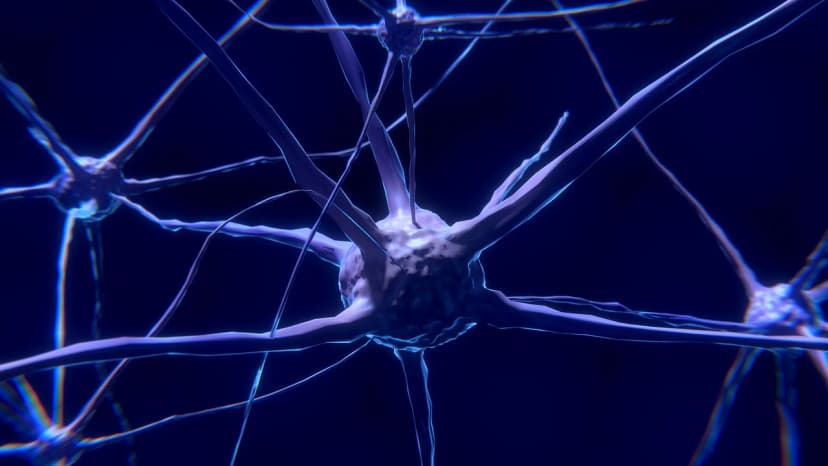 The 8+ Benefits Of Deferoxamine