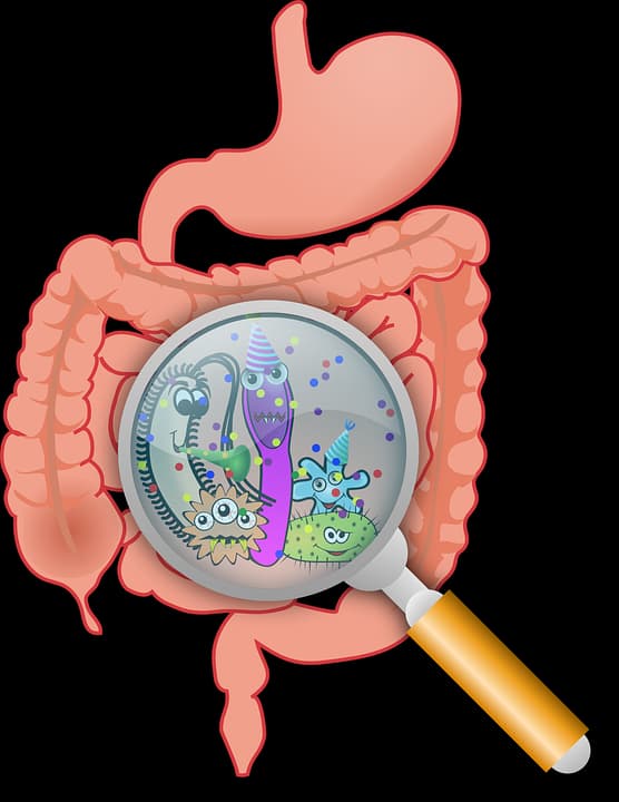 How To Keep Your Gut-Brain Axis Strong (Gut-Brain Axis Part 3)