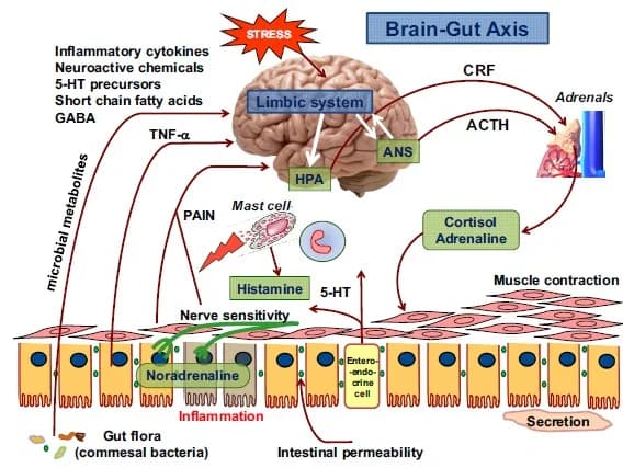 6 Steps to Naturally Treat Histamine Intolerance (Science-Based Protocol)