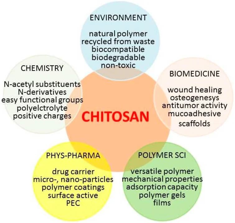 The 13+ Benefits Of Chitosan And Chitooligosaccharides