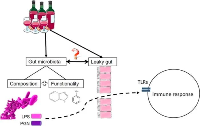 How To Inhibit Lipopolysaccharides (LPS), Lipoglycans, and Endotoxins