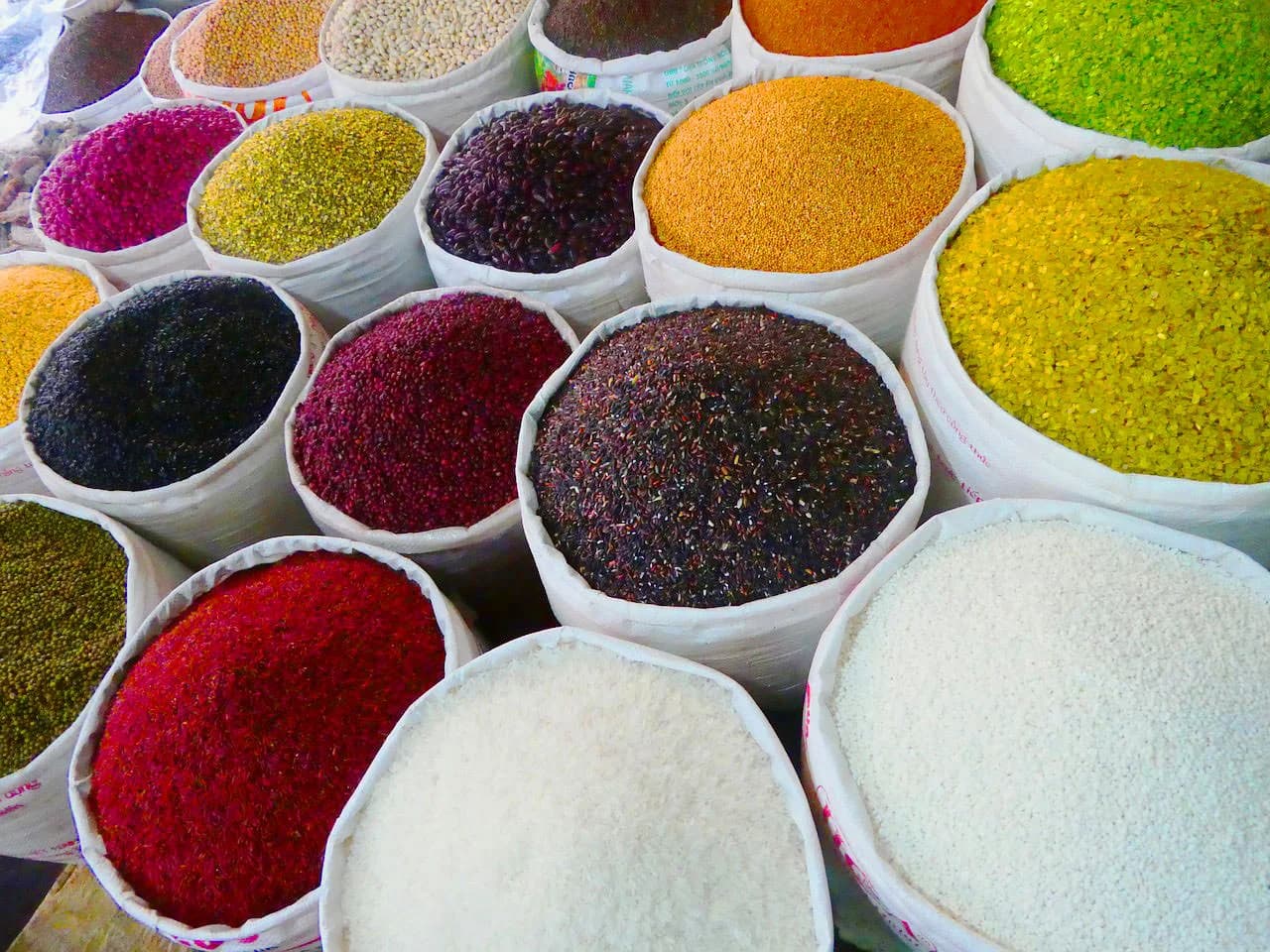 The 14+ Benefits Of Kutaj & Kwatha (Holarrhena antidysenterica)