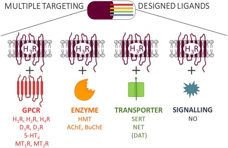 All About Histamine H3 Receptors (HRH3/HR3): Genetics, Mechanisms, And Antagonists