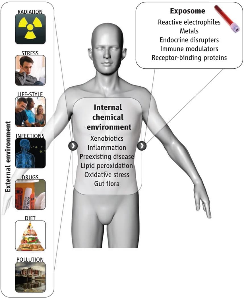 What Is Toxin Bioaccumulation? How Biotoxin Accumulation Causes (Reversible) Chronic Dysfunction
