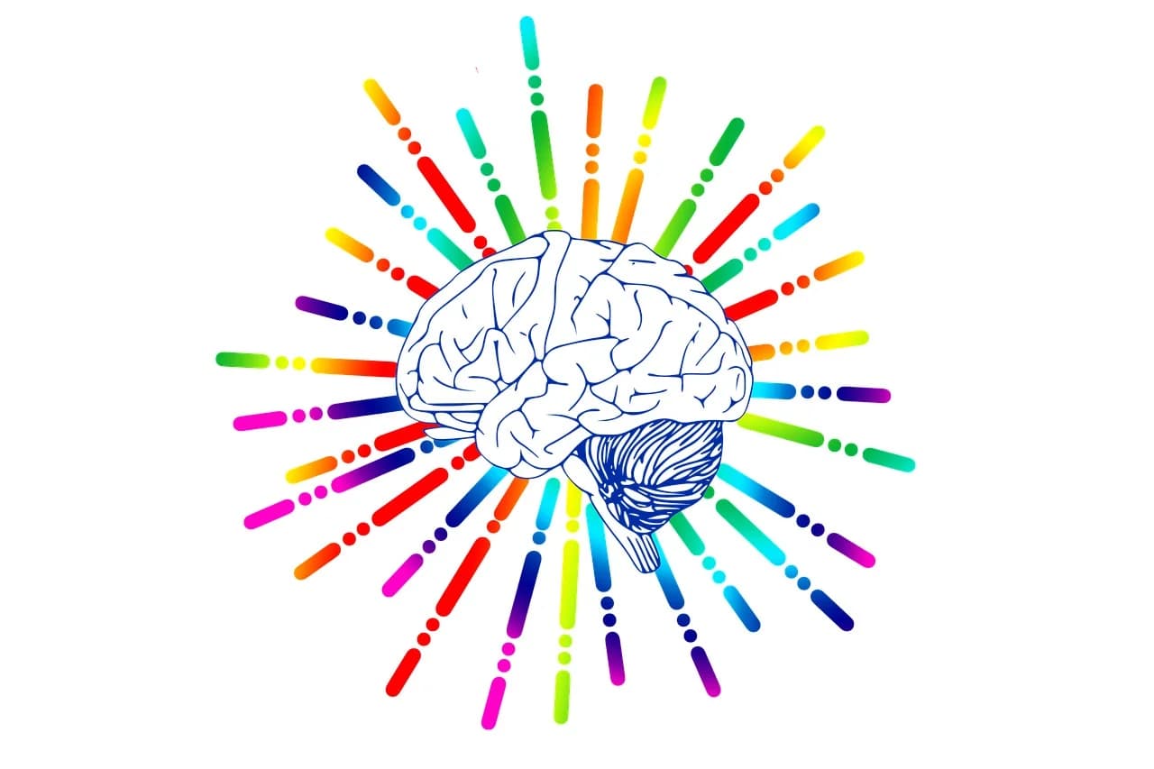 The 4+ Benefits Of Zhichan Decoction