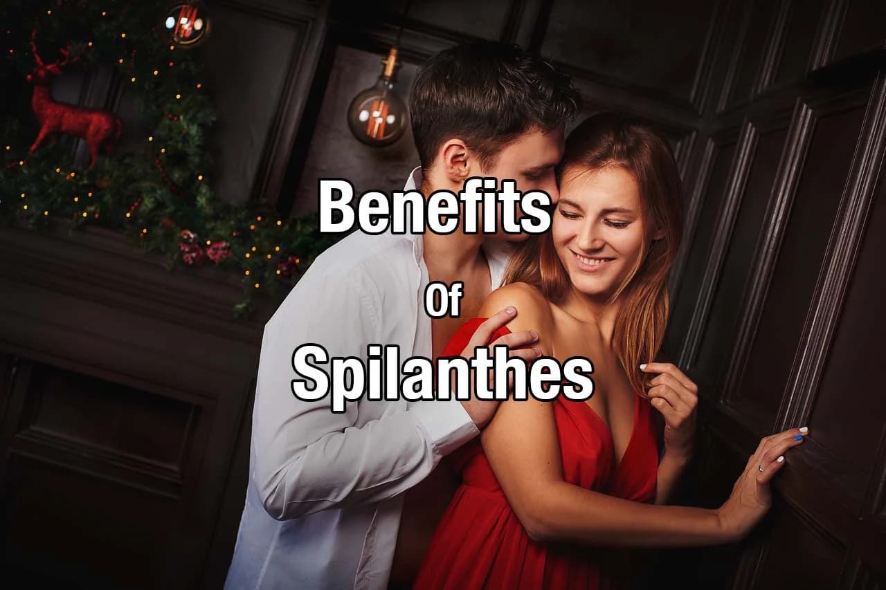 The 16+ Benefits Of Spilanthes, Spilanthol, And Alkylamides