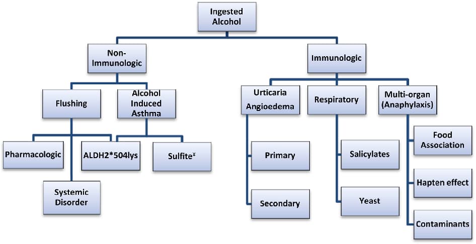 10+ Reasons Why Alcohol Intolerance Happens And How To Build Alcohol Tolerance (Mechanisms And Genetics)