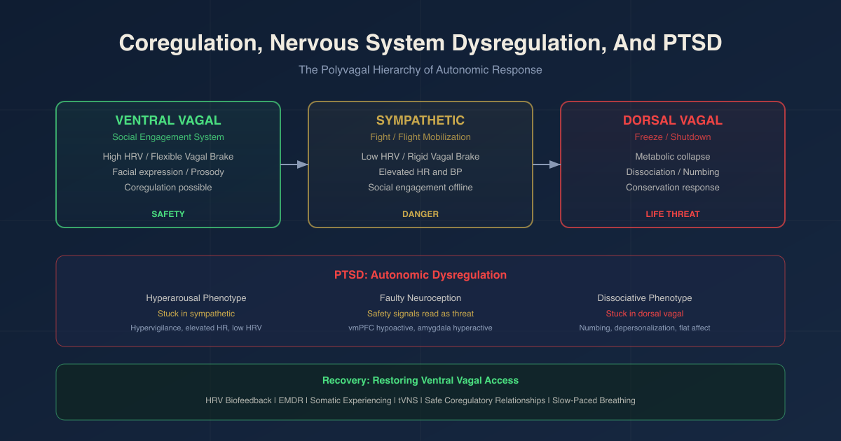 Coregulation, Nervous System Dysregulation, And PTSD