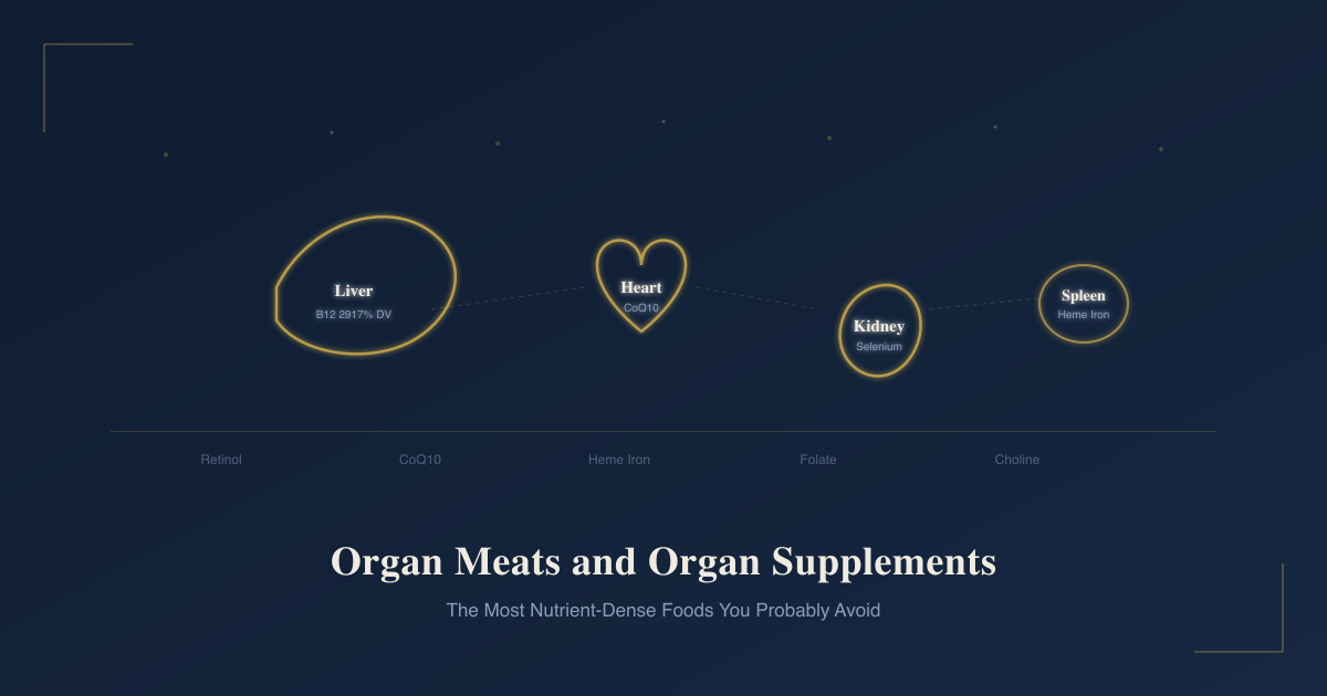 Organ meats including liver, heart, kidney, and spleen with key nutrients labeled