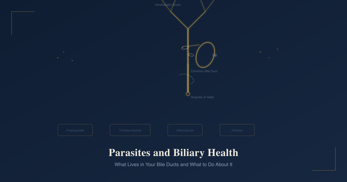 Biliary tree anatomy showing bile ducts, gallbladder, and parasitic flukes with treatment options